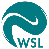Enlarged view: WSL