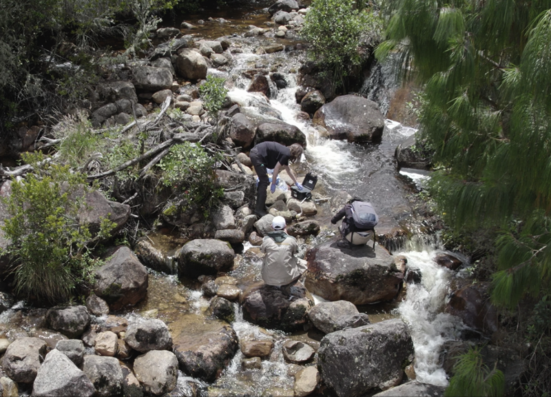 Enlarged view: Drone footage snapshot of eDNA sampling in Colombia.