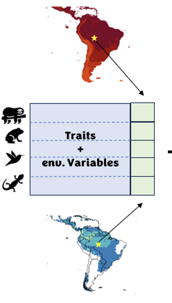 scheme of how the g3n3sis model is working