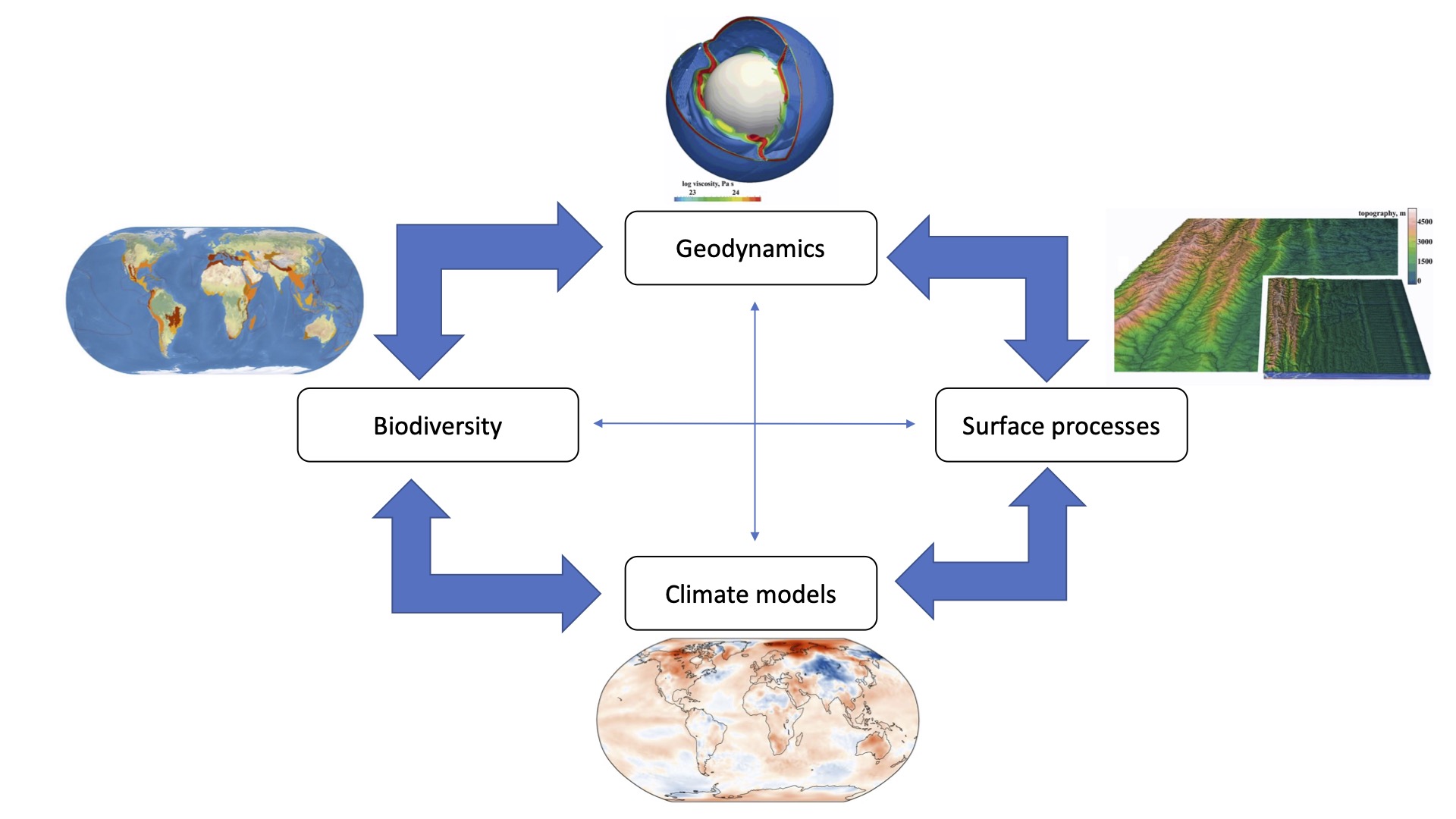 Enlarged view: biogeodynamik