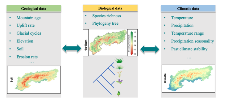 Enlarged view: Mountain Plant Diversity