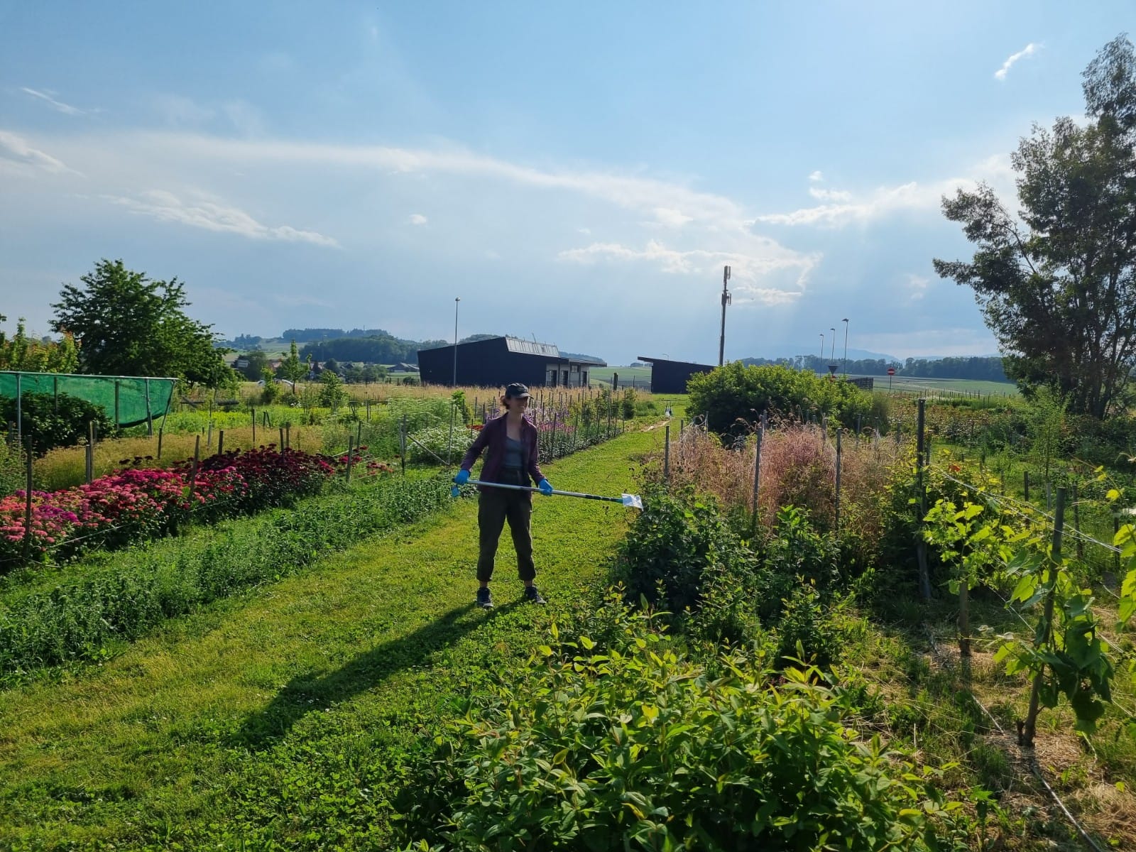 Enlarged view: eDNA sampling at one of the farms