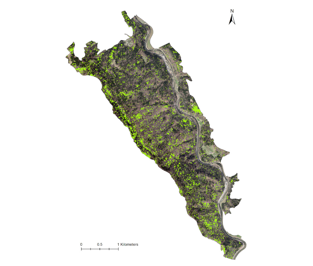 Enlarged view: Dead wood map