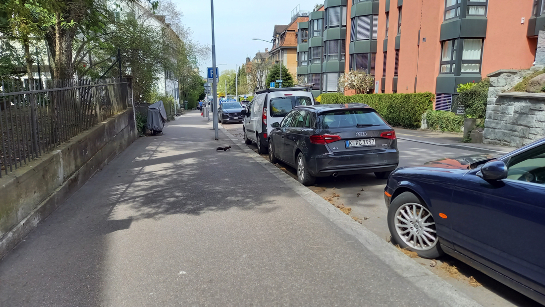 Enlarged view: Squirrel crossing street in Zurich